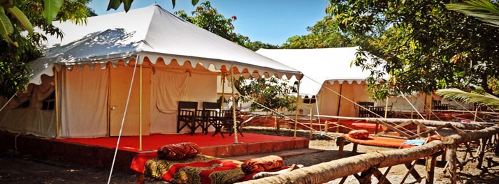 1432/Camp Leo & Gir Pride Resort - Gir National Park 07.jpg